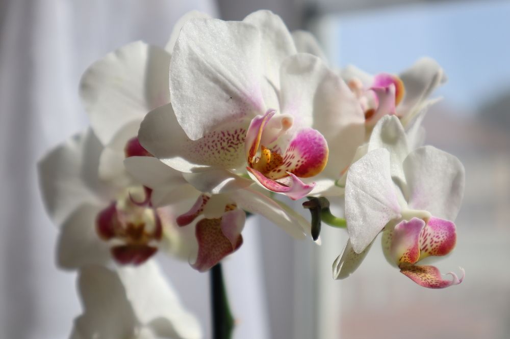 Photograph by Екатерина