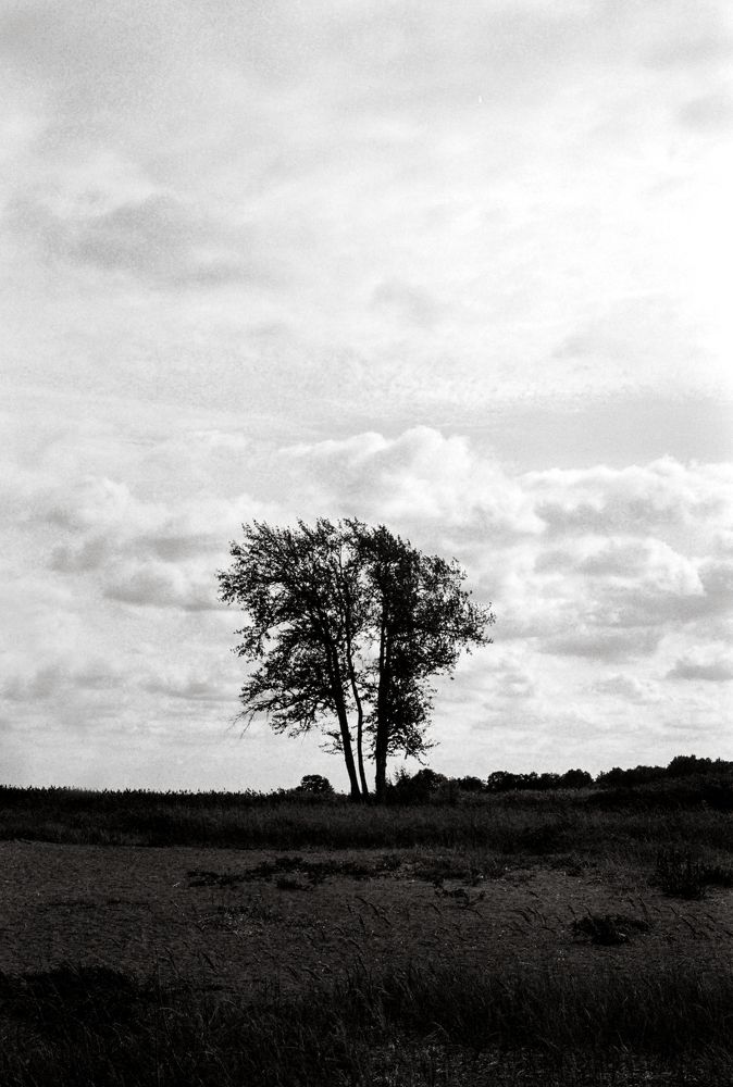 Photograph by Брыль Дарья