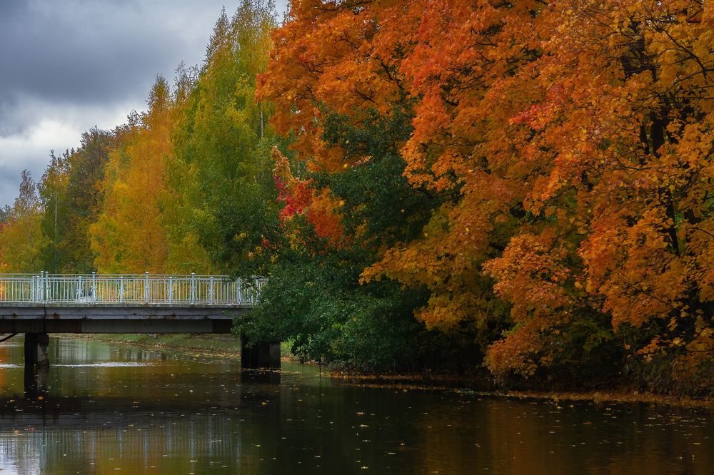 Photograph by Ольга Шарикова