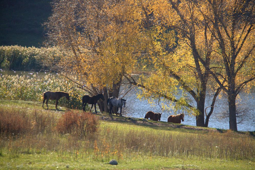 Photograph by Александр Исаченко