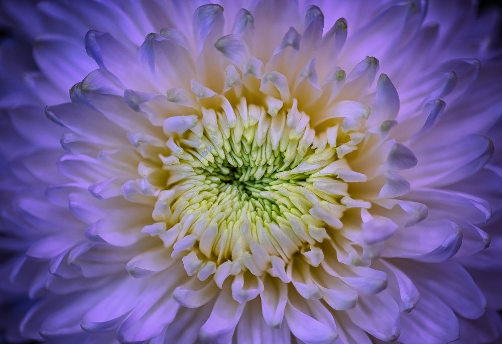 Photograph by Валерий Сарак