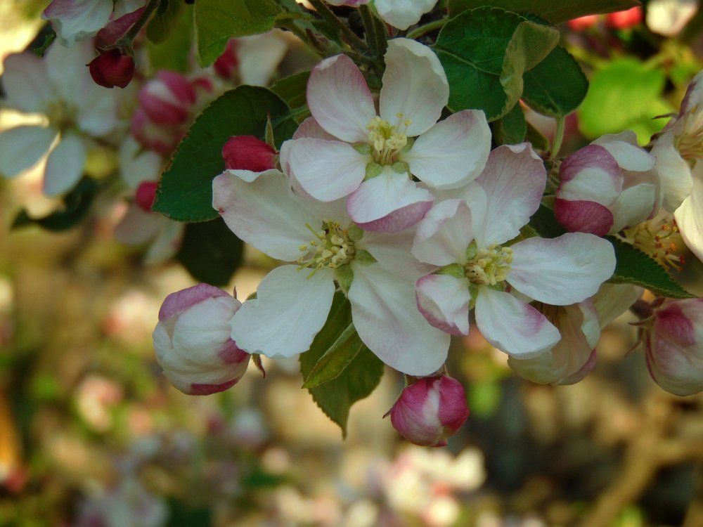 Photograph by Anna Veľasová