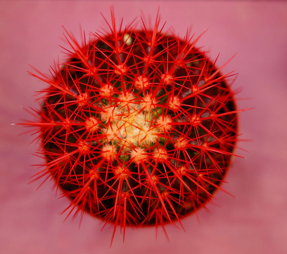 Photograph by Светлана Семенова