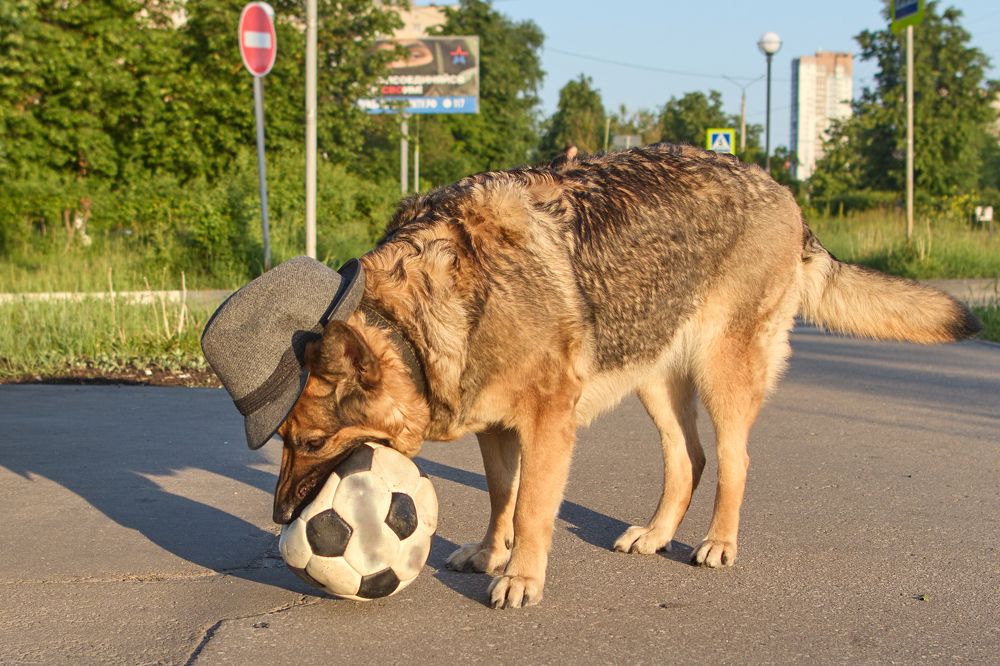 Photograph by Евгений Лапшин