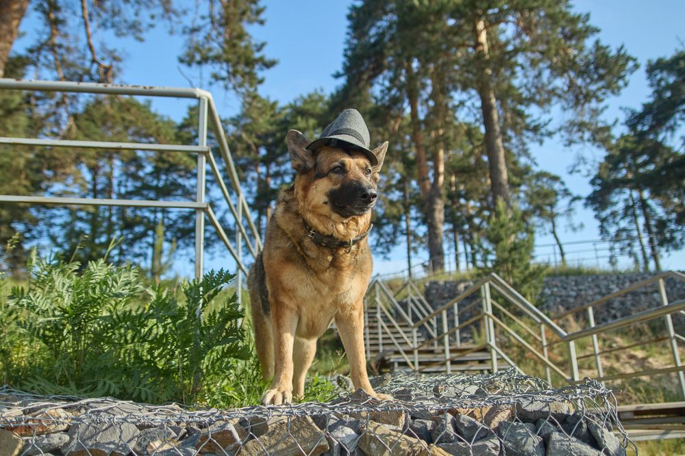 Photograph by Евгений Лапшин