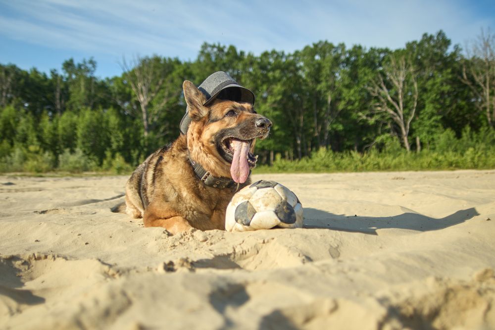 Photograph by Евгений Лапшин