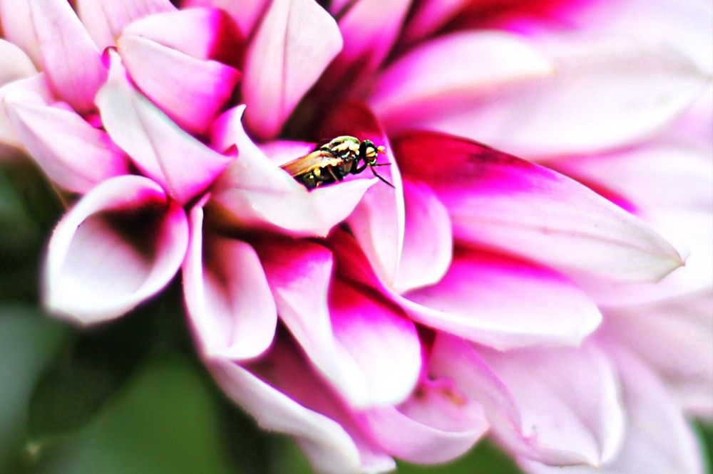 Photograph by Lena Feldman