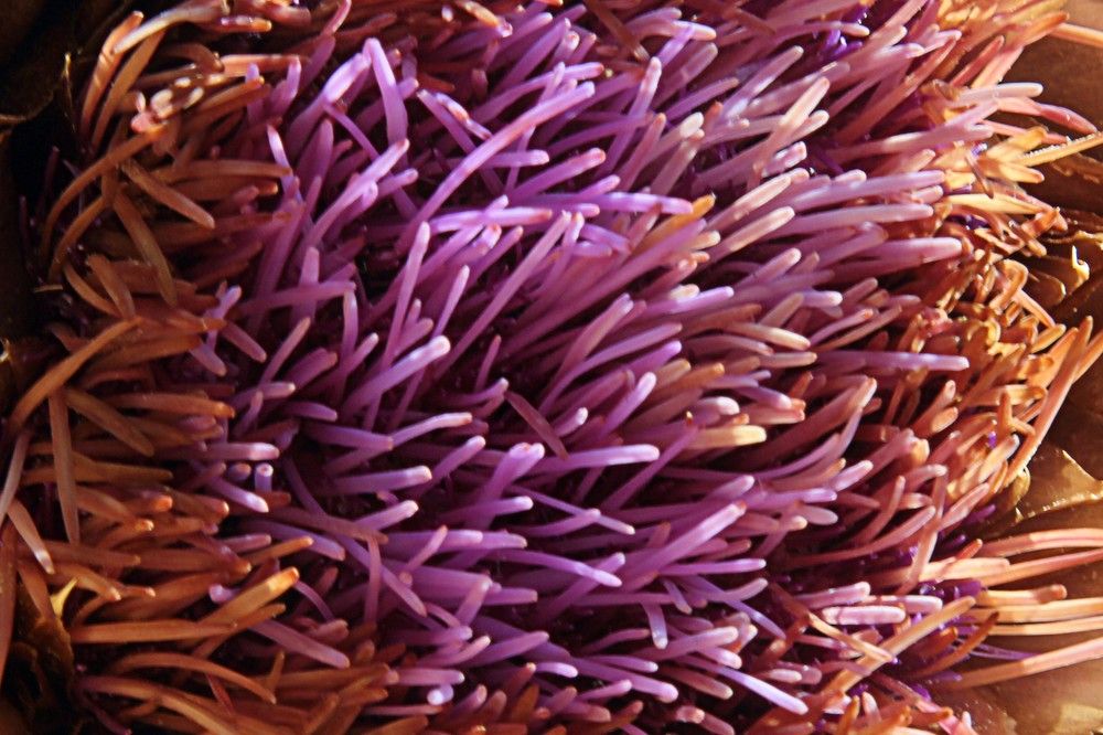 Photograph by Lena Feldman