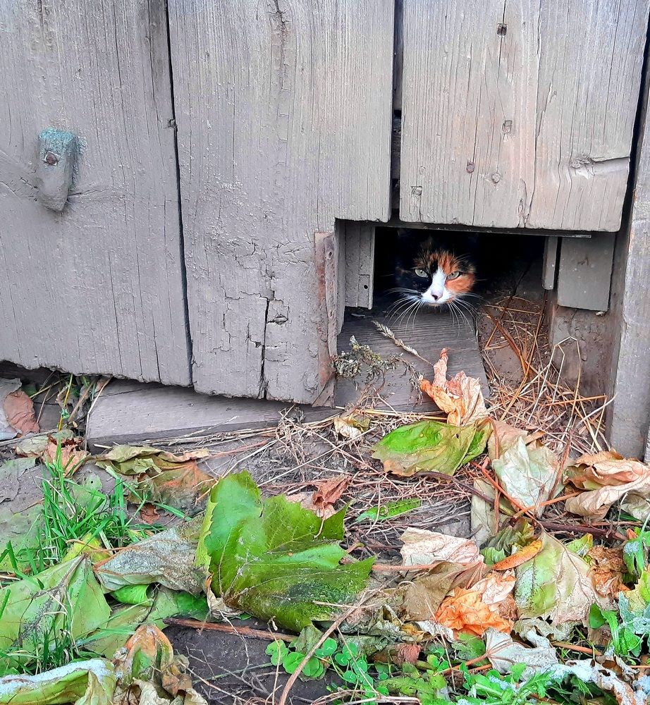 Photograph by Екатерина