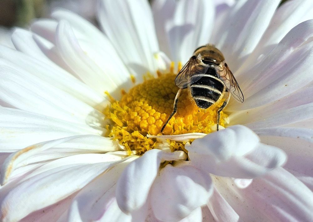 Photograph by даша ващенко