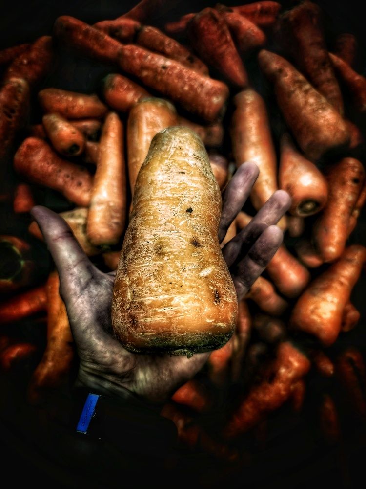 Фотография автора Максим Светличный