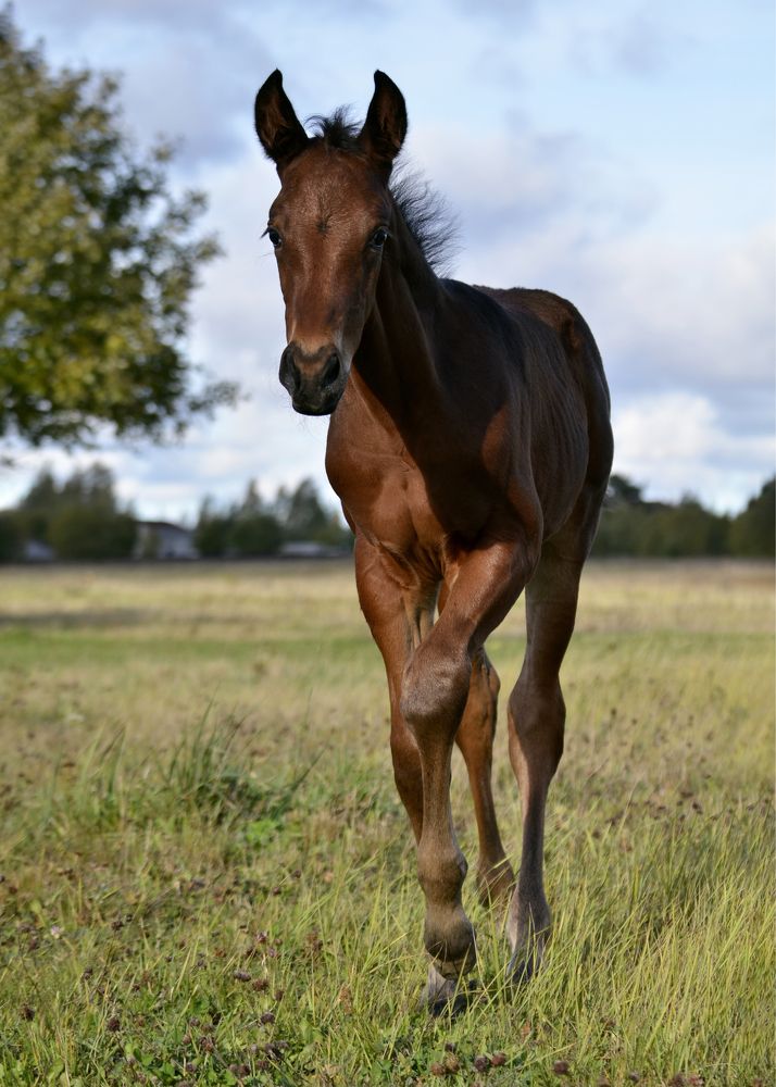 Photograph by Юлия Сидорова