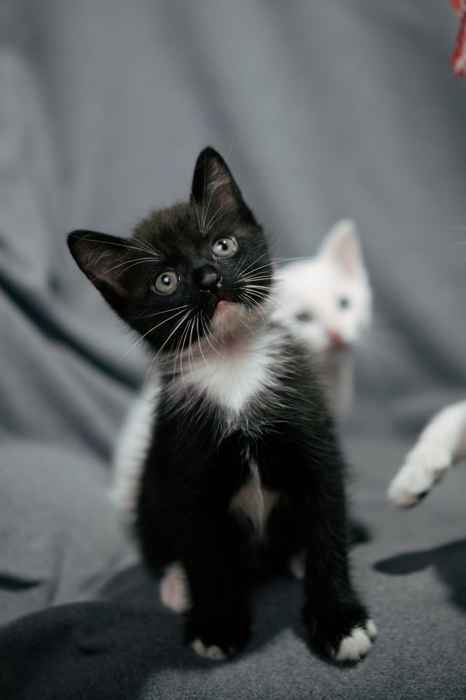 Photograph by Анжела Спиридонова