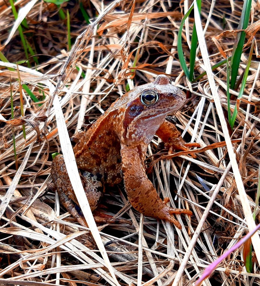 Photograph by Екатерина