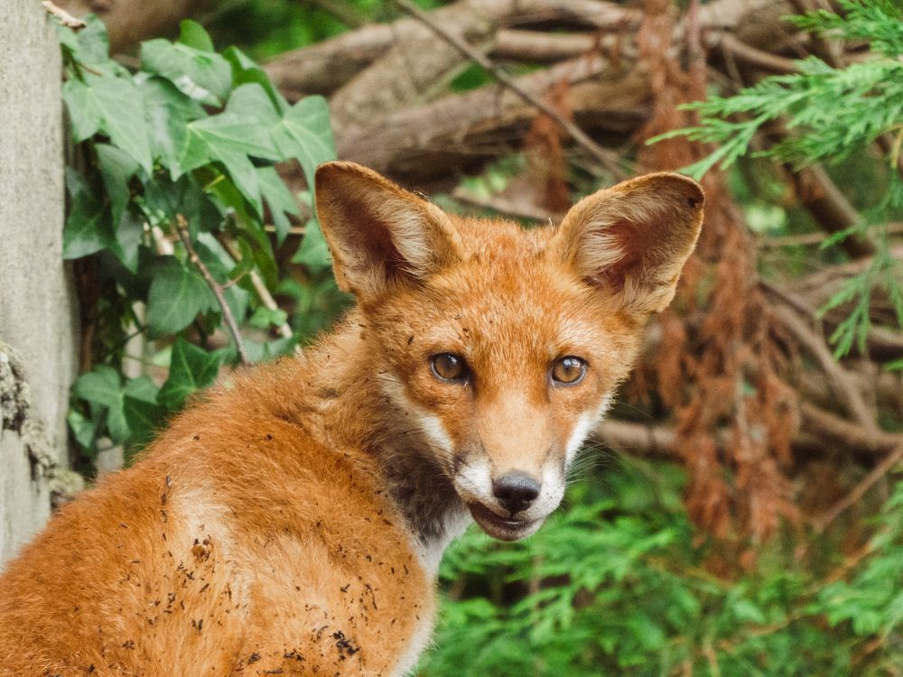 Photograph by Kseniia Baron