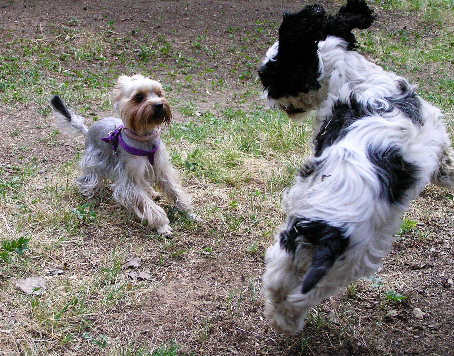 Photo #9735104