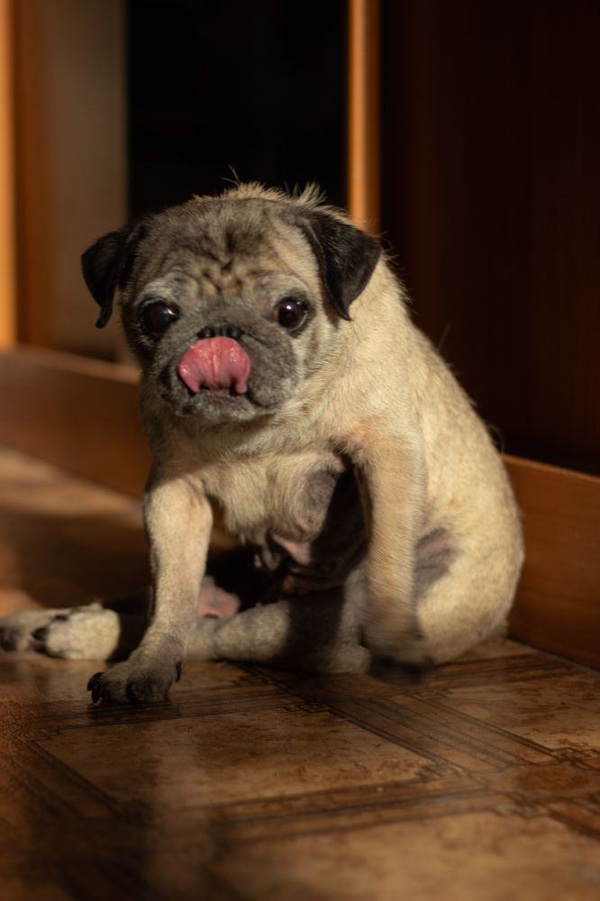 Photograph by Никита Викторович