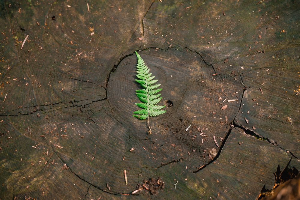 Photograph by Лина Лазарева