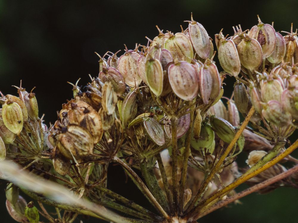 Photograph by Kseniia Baron