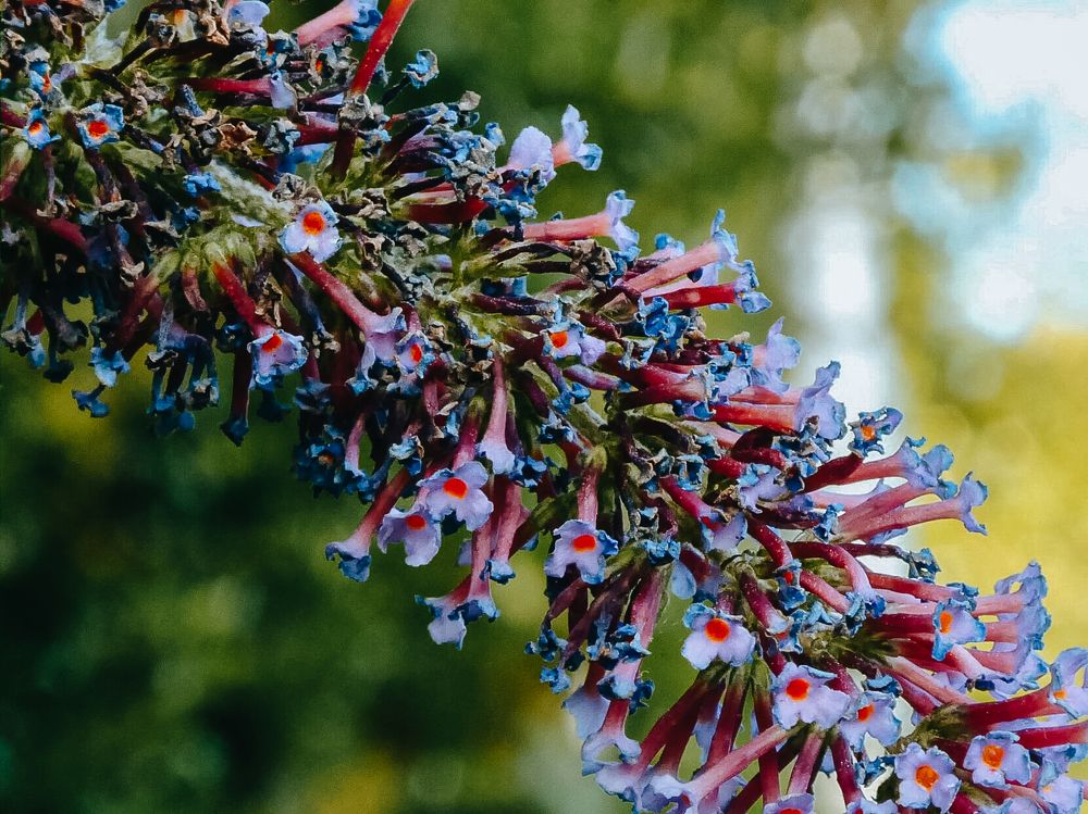 Photograph by Kseniia Baron