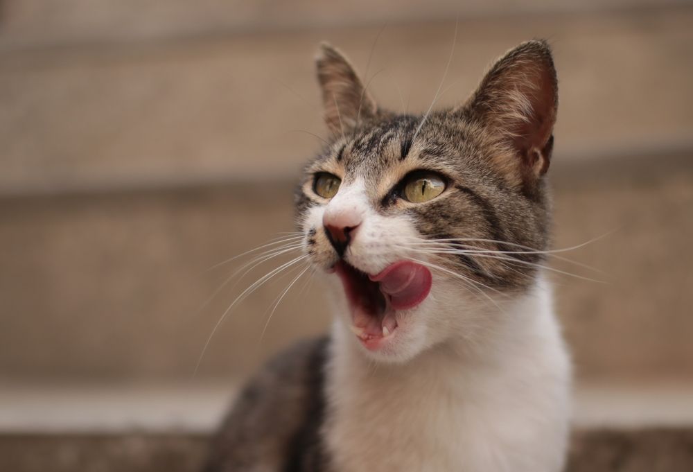 Photograph by Süleyman Ülker