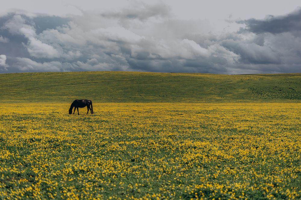 Photograph by Лина Лазарева