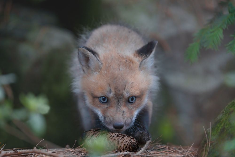 Photograph by Patrick Cote