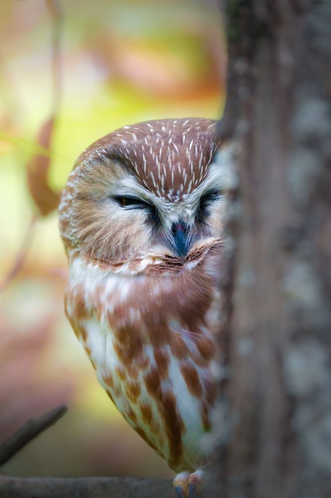 Photograph by Patrick Cote