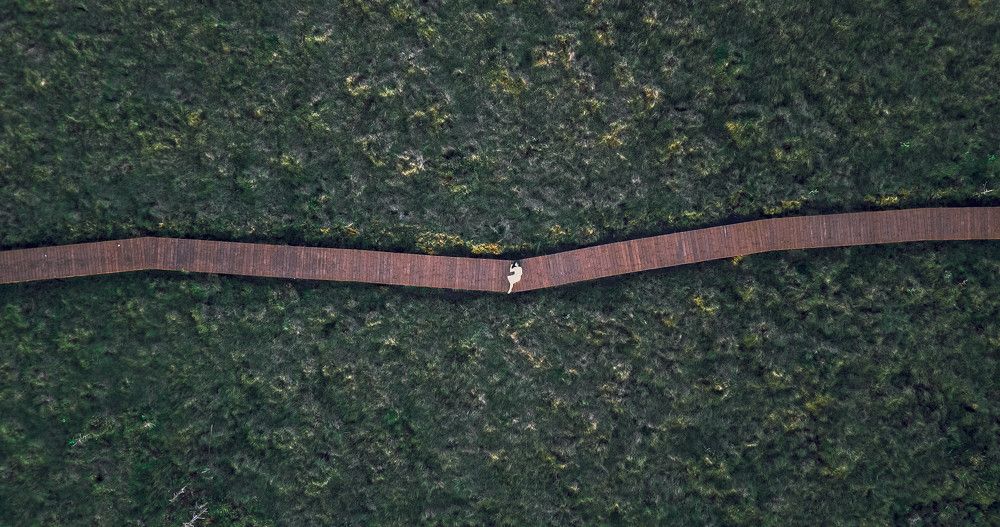 Photograph by Михаил Азаров