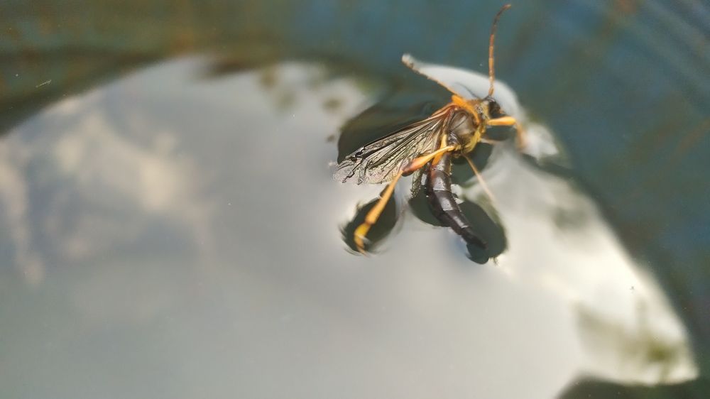 Photograph by Елена Смирнова