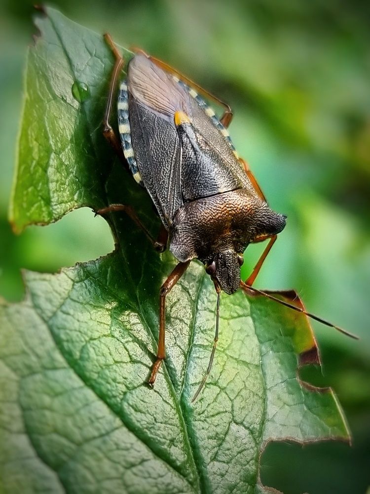 Photograph by Ольга