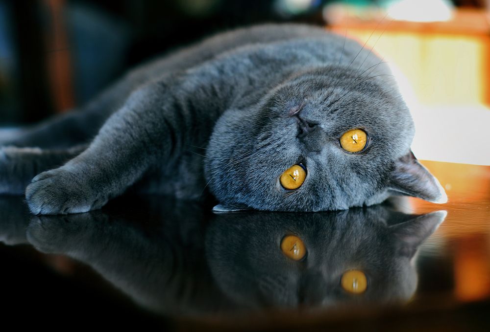 Photograph by Анна