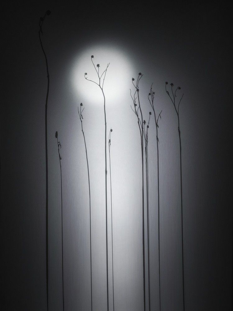 Photograph by Татьяна Максакова