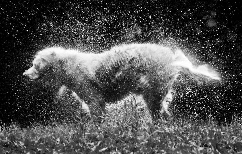 Photograph by Дмитрий Потапов