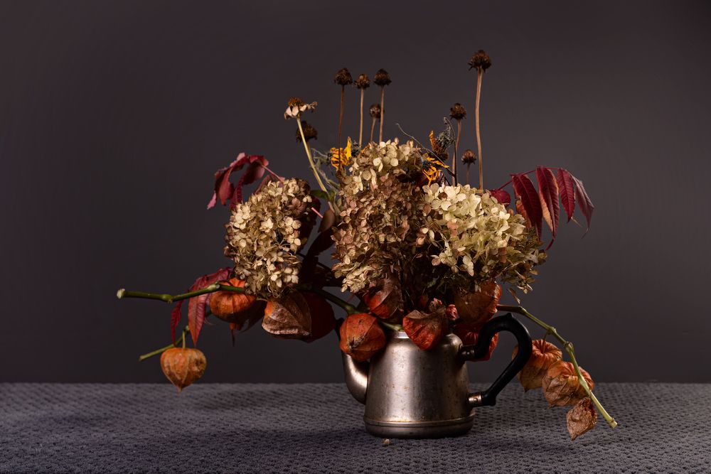 Photograph by наталья залогина