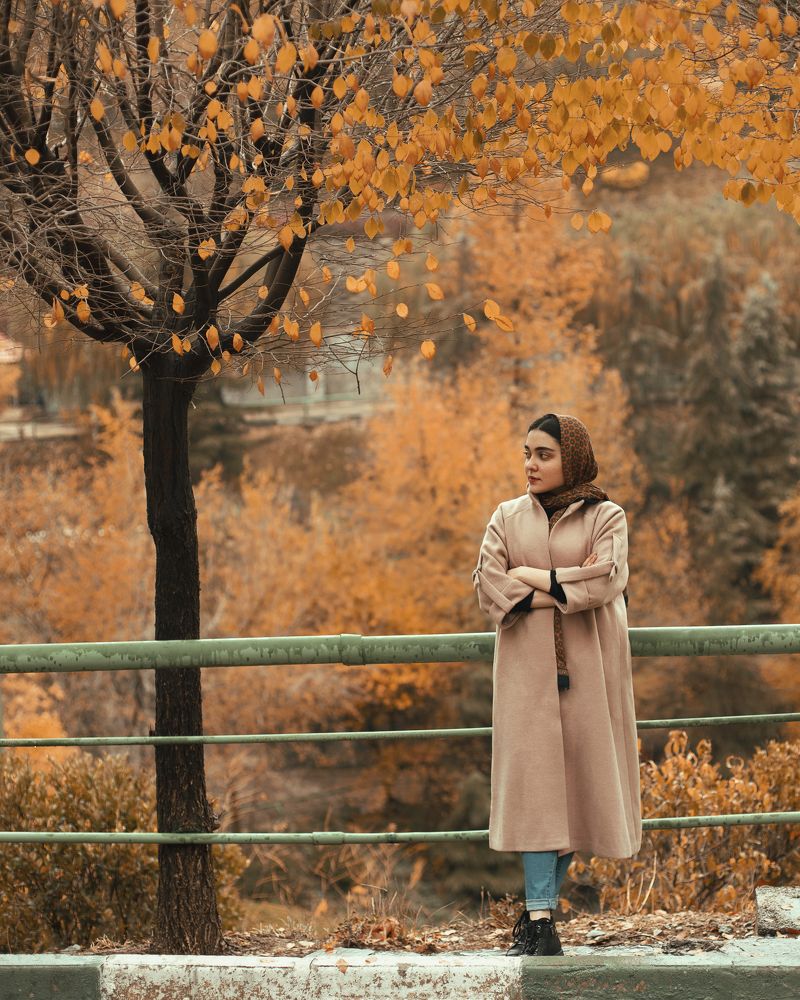 Фотография автора Alireza Karimian