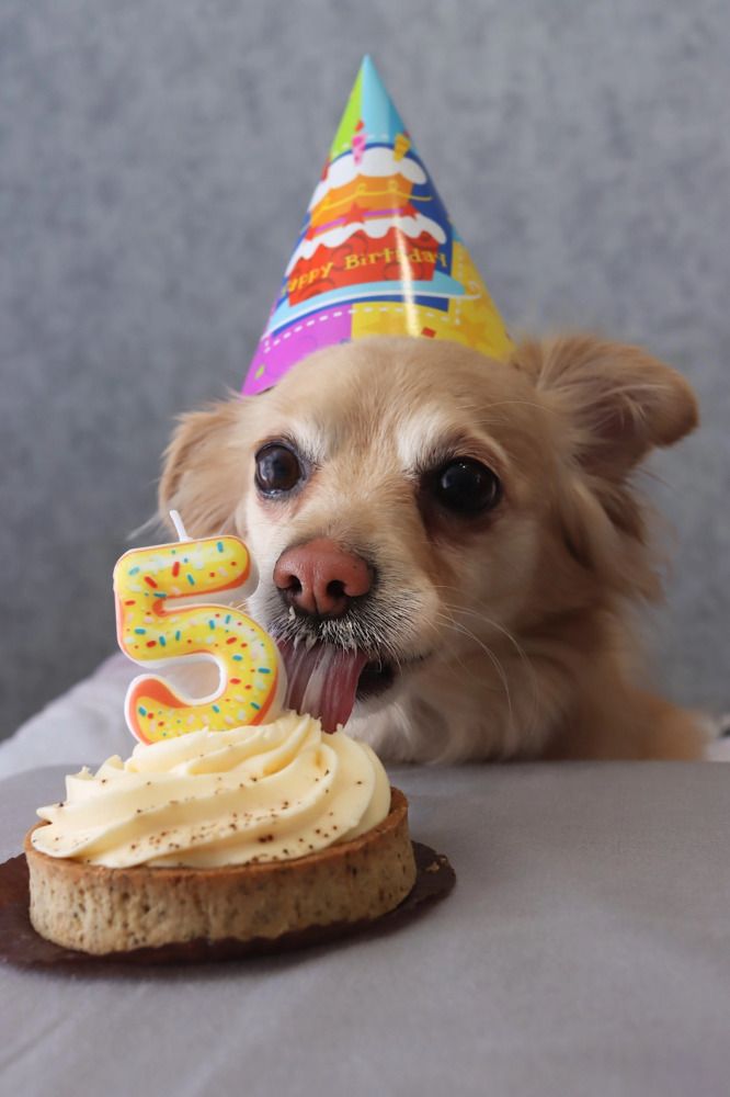 Photograph by Алина Логвиненко