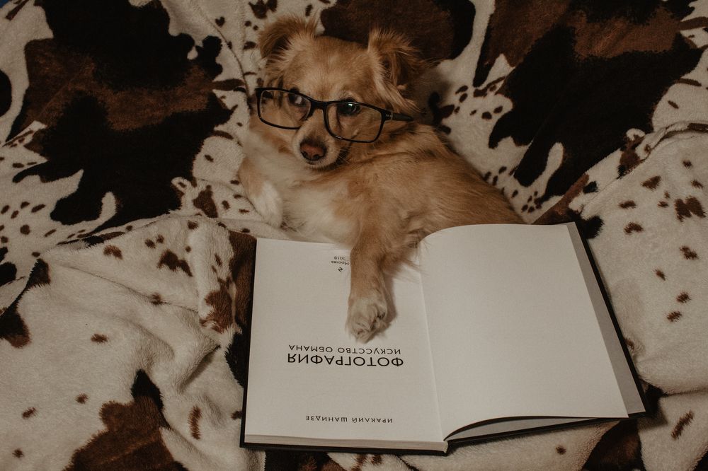 Photograph by Алина Логвиненко