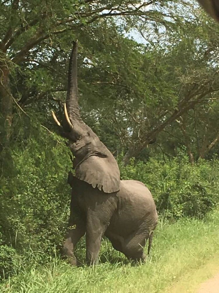 Фотография автора Slavica Gligorievska
