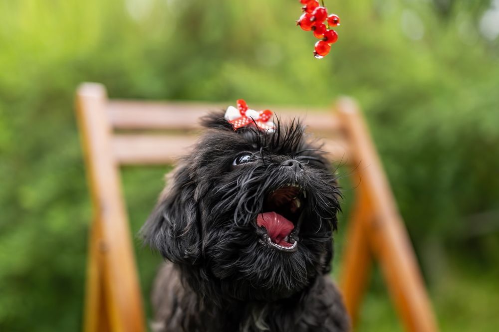 Photograph by Ирина Недикова