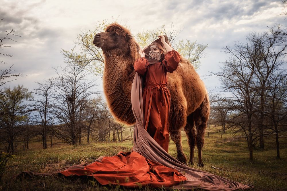Photograph by 