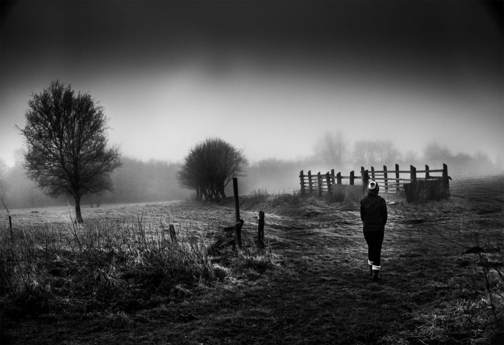 Photograph by Mostafa MBeigi