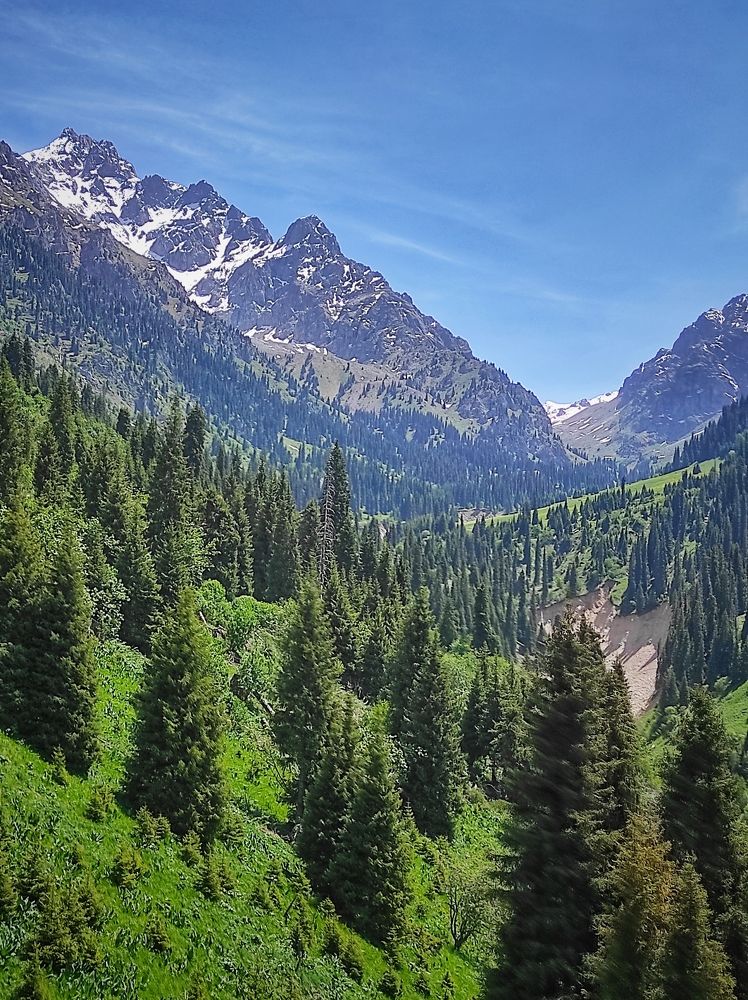 Photograph by Сергей Пермин