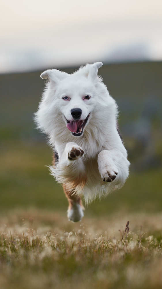 Photograph by Federico Ruben Gonzalez Bravo