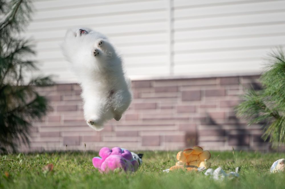 Photograph by Иван Грачев