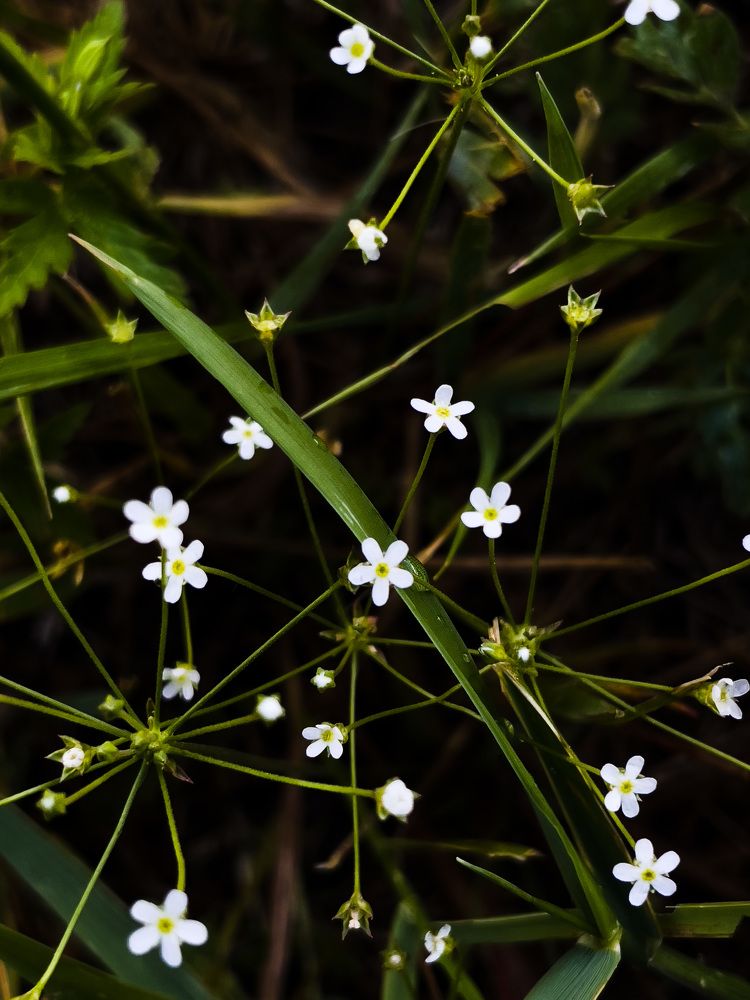 Photograph by Ольга Унутова( Виноградова)