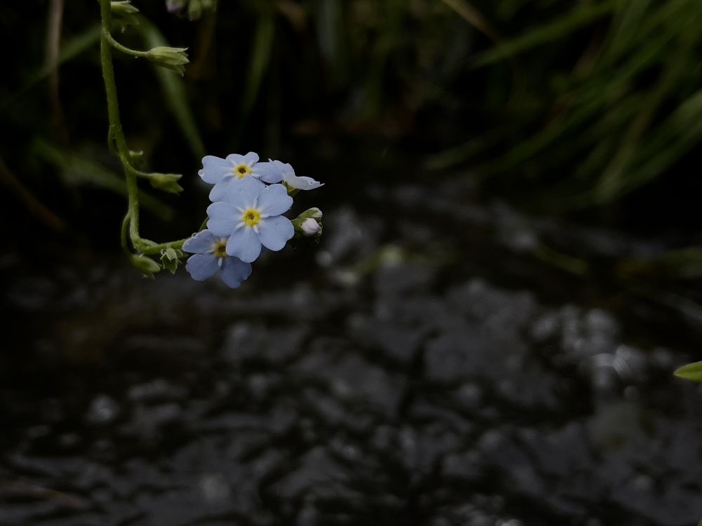 Photograph by Ольга Унутова( Виноградова)