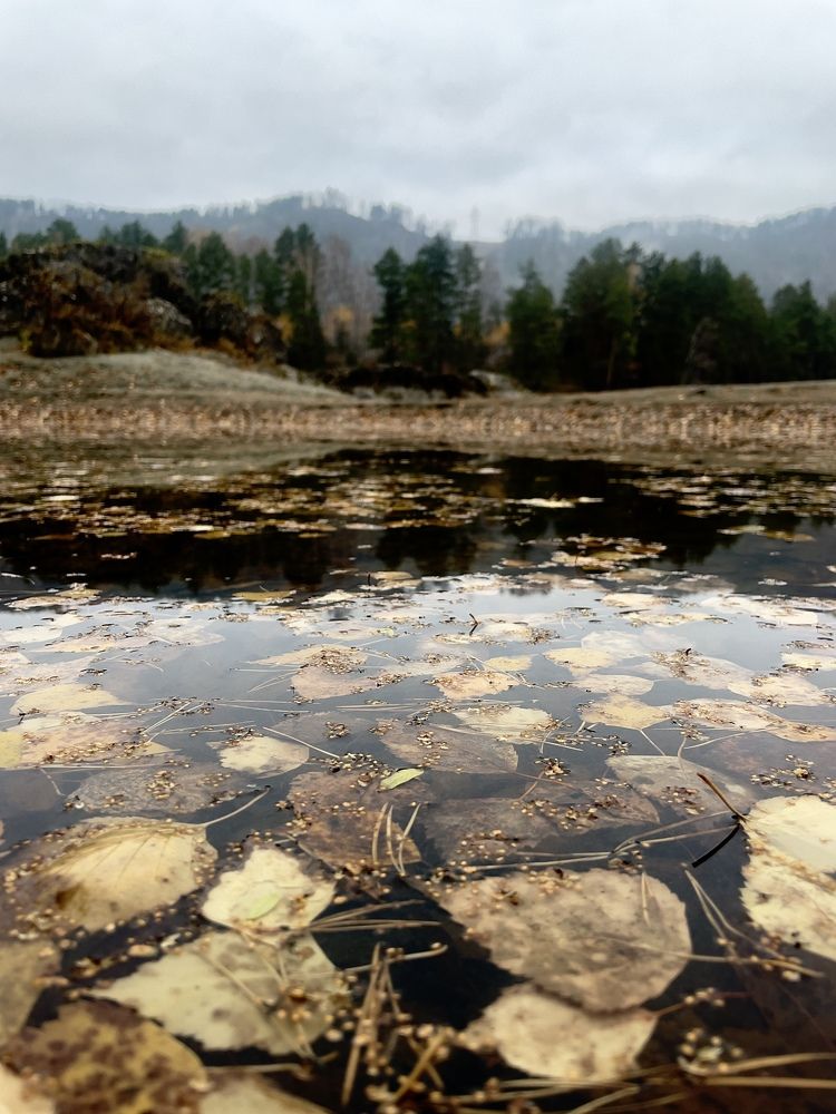 Photograph by Ольга Унутова( Виноградова)