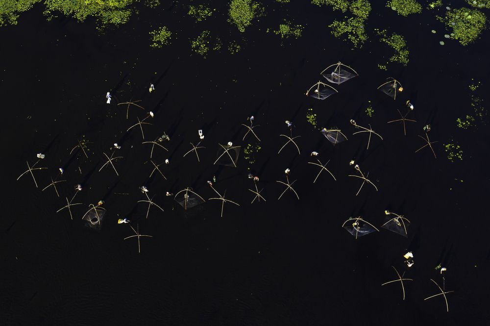 Photograph by Nguyễn Tấn