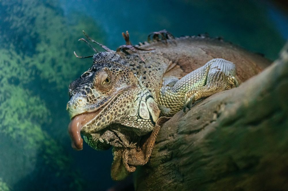 Photograph by Корчагина Оксана